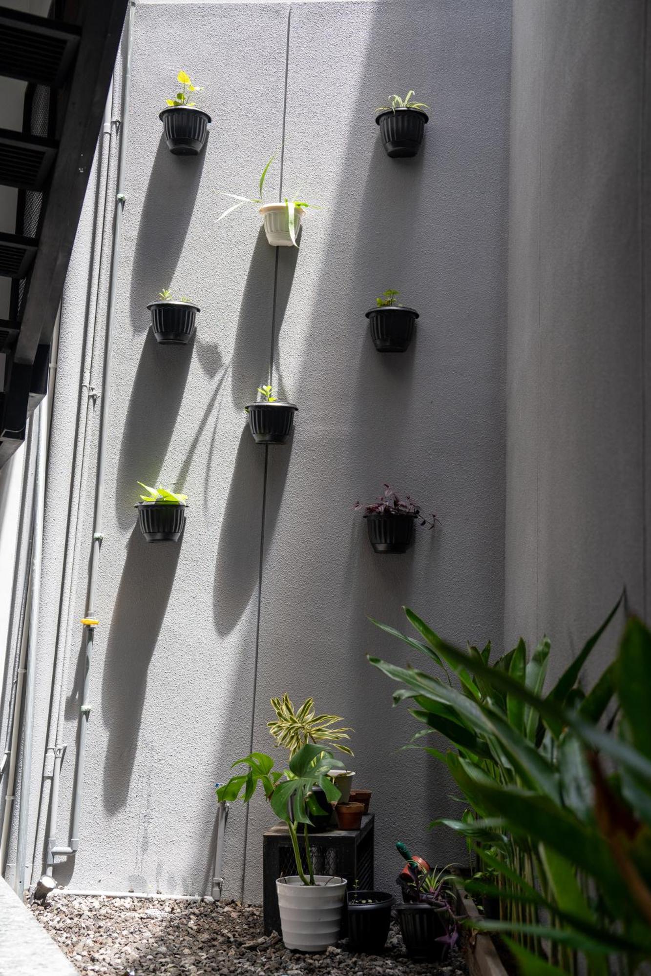 The Kamala Guest House Canggu  Exterior photo